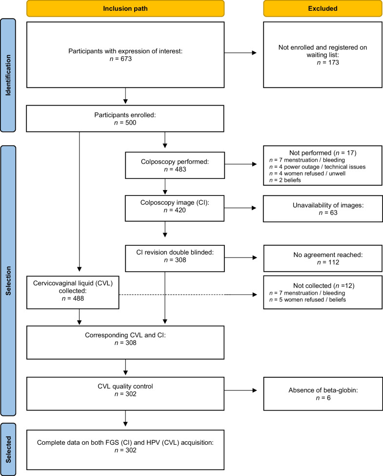 Female genital schistosomiasis, human papilloma virus infection, and cervical cancer in rural Madagascar: a cross sectional study.