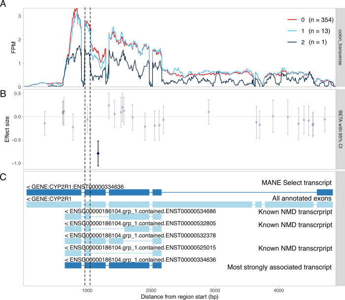 eQTL Catalogue 2023: New datasets, X chromosome QTLs, and improved detection and visualisation of transcript-level QTLs.