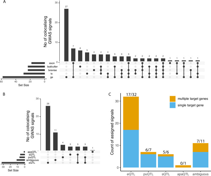 eQTL Catalogue 2023: New datasets, X chromosome QTLs, and improved detection and visualisation of transcript-level QTLs.