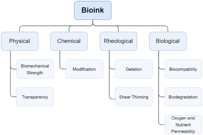 3D bioprinting of corneal models: A review of the current state and future outlook.