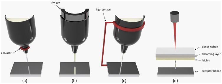 3D bioprinting of corneal models: A review of the current state and future outlook.