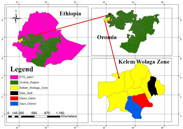 Antibiotic Use, Awareness of Antimicrobial Resistance and Residue in Veterinary Professionals and Farmers in Selected Districts of Kellem Wollega Zone, Ethiopia.