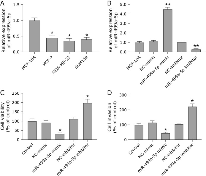 TMEM189 as a target gene of MiR-499a-5p regulates breast cancer progression through the ferroptosis pathway.