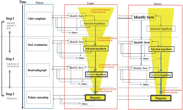 Brain-based medical education model for expert's clinical decision making.