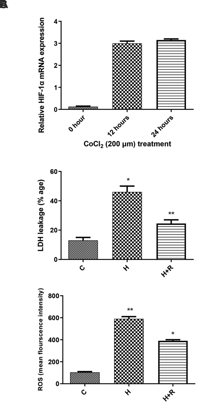 Protective Effects of Relaxin 2 (RLXH2) against Hypoxia-Induced Oxidative Damage and Cell Death via Activation of The Nrf2/HO-1 Signalling Pathway in Gastric Cancer Cells.