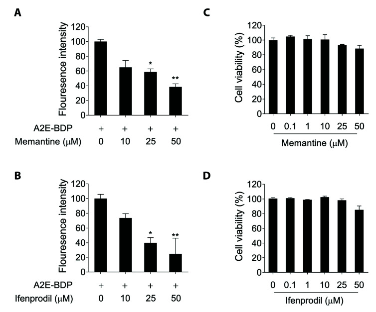 <i>N</i>-retinylidene-<i>N</i>-retinylethanolamine degradation in human retinal pigment epithelial cells via memantine- and ifenprodil-mediated autophagy.