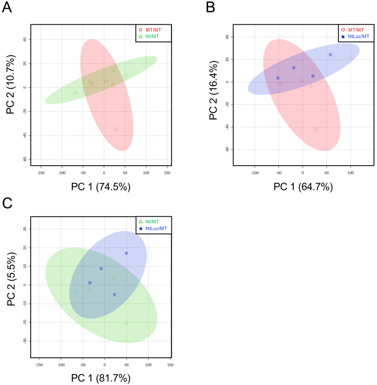 Multi-omics Analyses of Non-GM Tomato Scion Engrafted on GM Rootstocks.