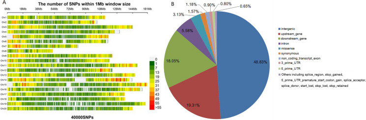 Development and evaluation of the utility of GenoBaits Peanut 40K for a peanut MAGIC population.