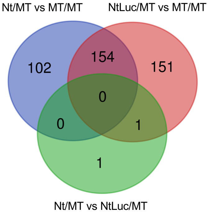 Multi-omics Analyses of Non-GM Tomato Scion Engrafted on GM Rootstocks.