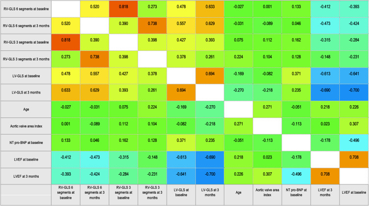 Prognostic Value of Myocardial Function Imaging Markers in Elderly Patients Undergoing Transcatheter Aortic Valve Replacement.