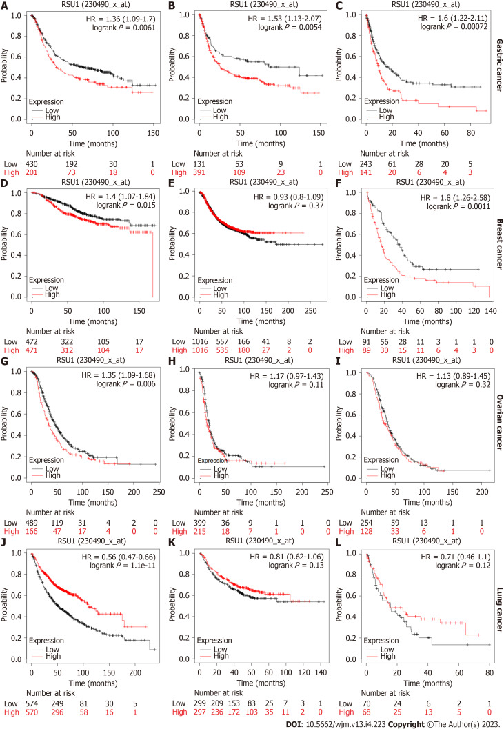 Comprehensive analysis of cell-extracellular matrix protein Ras suppressor-1 in function and prognosis of gastrointestinal cancers.