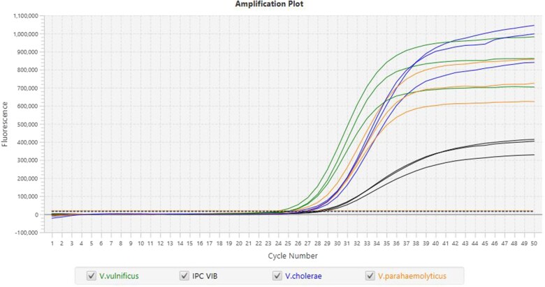 Validation of the Thermo Scientific™ SureTect™ Vibrio cholerae, Vibrio parahaemolyticus, and Vibrio vulnificus PCR Assay for the Detection of Vibrio cholerae, Vibrio parahaemolyticus, and Vibrio vulnificus in Seafood Matrixes: AOAC Performance Tested MethodsSM 022301.