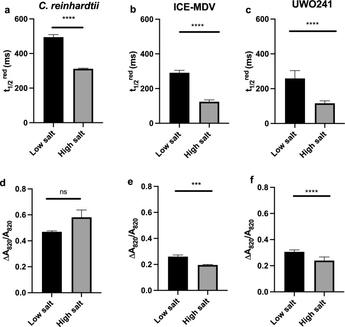 High salt-induced PSI-supercomplex is associated with high CEF and attenuation of state transitions.