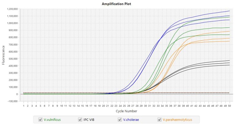 Validation of the Thermo Scientific™ SureTect™ Vibrio cholerae, Vibrio parahaemolyticus, and Vibrio vulnificus PCR Assay for the Detection of Vibrio cholerae, Vibrio parahaemolyticus, and Vibrio vulnificus in Seafood Matrixes: AOAC Performance Tested MethodsSM 022301.