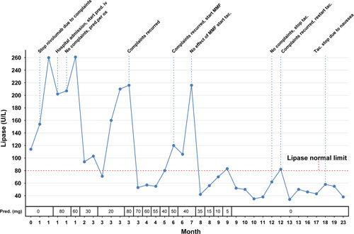 Immune Checkpoint Inhibitor-related Pancreatitis: A Case Series, Review of the Literature and an Expert Opinion.