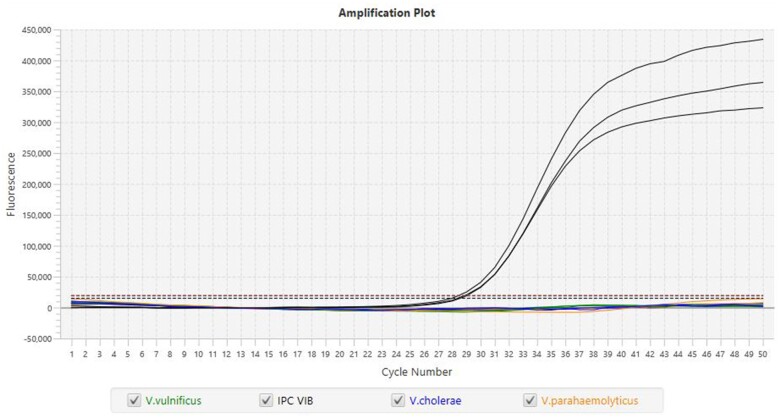 Validation of the Thermo Scientific™ SureTect™ Vibrio cholerae, Vibrio parahaemolyticus, and Vibrio vulnificus PCR Assay for the Detection of Vibrio cholerae, Vibrio parahaemolyticus, and Vibrio vulnificus in Seafood Matrixes: AOAC Performance Tested MethodsSM 022301.