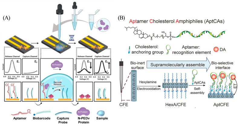 Unraveling the Possibilities: Recent Progress in DNA Biosensing.