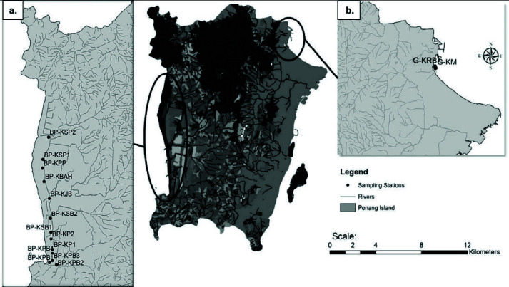 Unveiling the Diversity of Periphytic Cyanobacteria (Cyanophyceae) from Tropical Mangroves in Penang, Malaysia.