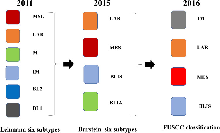 Molecular Biology Mechanisms and Emerging Therapeutics of Triple-Negative Breast Cancer.