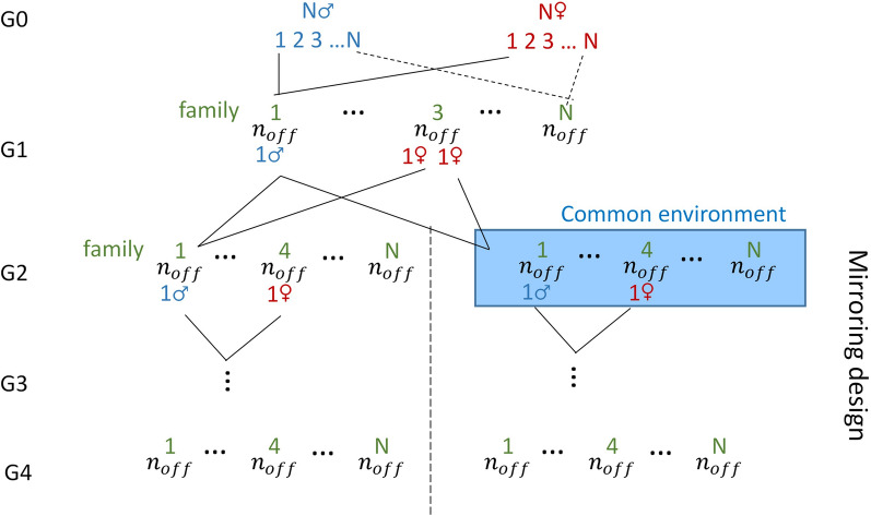 An improved transmissibility model to detect transgenerational transmitted environmental effects.