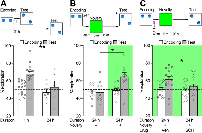 Novelty-induced memory consolidation is accompanied by increased Agap3 transcription: a cross-species study.