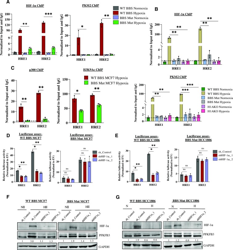 PKM2 dictates the poised chromatin state of <i>PFKFB3</i> promoter to enhance breast cancer progression.