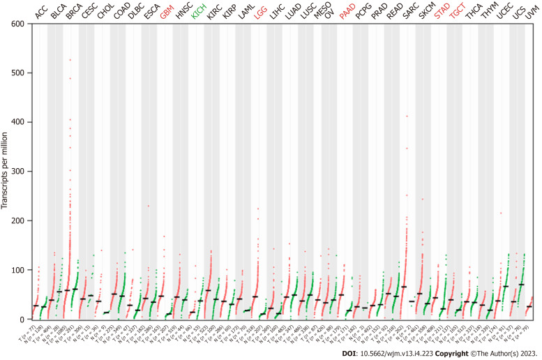 Comprehensive analysis of cell-extracellular matrix protein Ras suppressor-1 in function and prognosis of gastrointestinal cancers.