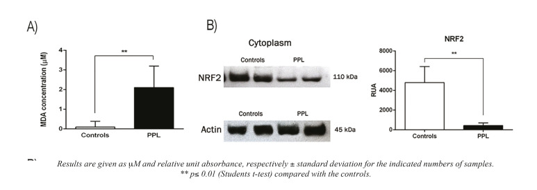 Reduction of NrF2 as coadjuvant during the development of persistent periapical lesions.