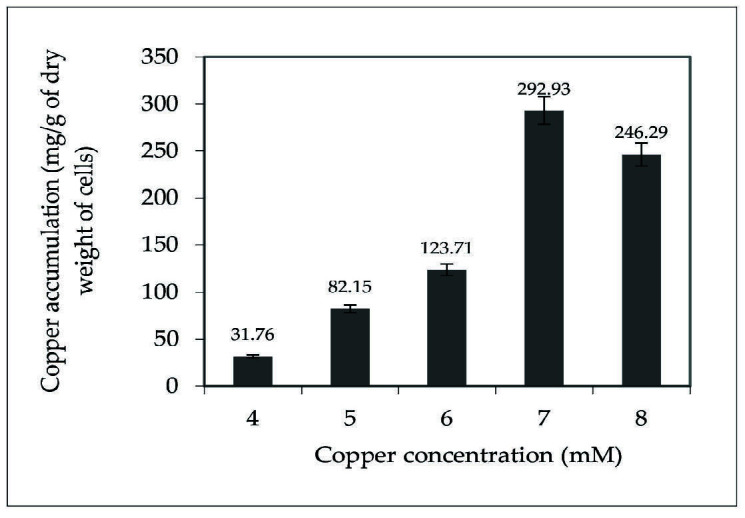 Optimising Wastewater Treatment: <i>Acinetobacter</i> sp. IrC1 as a potential multi-resistant bacterium for copper accumulation and dyes decolourisation.