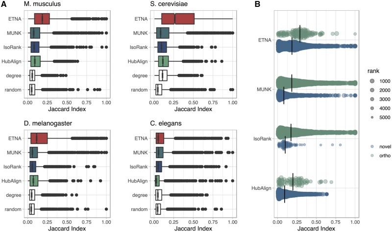 Joint embedding of biological networks for cross-species functional alignment.