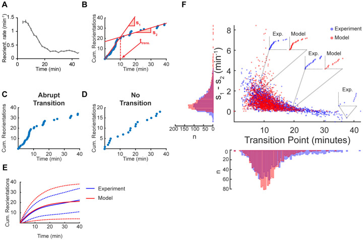 A stochastic explanation for observed local-to-global foraging states in <i>Caenorhabditis elegans</i>.