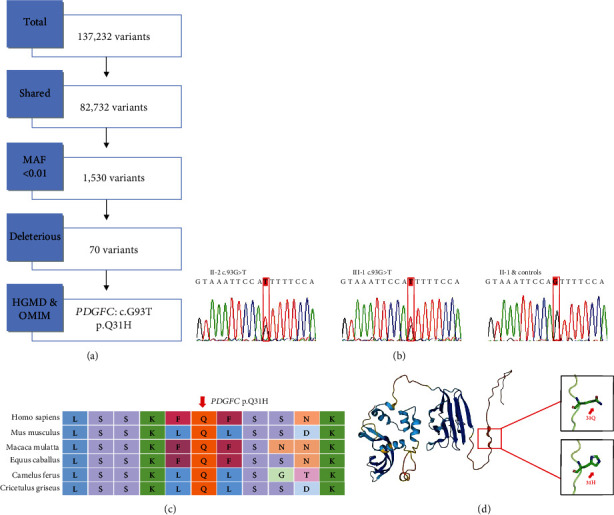 Identification of a Novel Variant of <i>PDGFC</i> Associated with Nonsyndromic Cleft Lip and Palate in a Chinese Family.