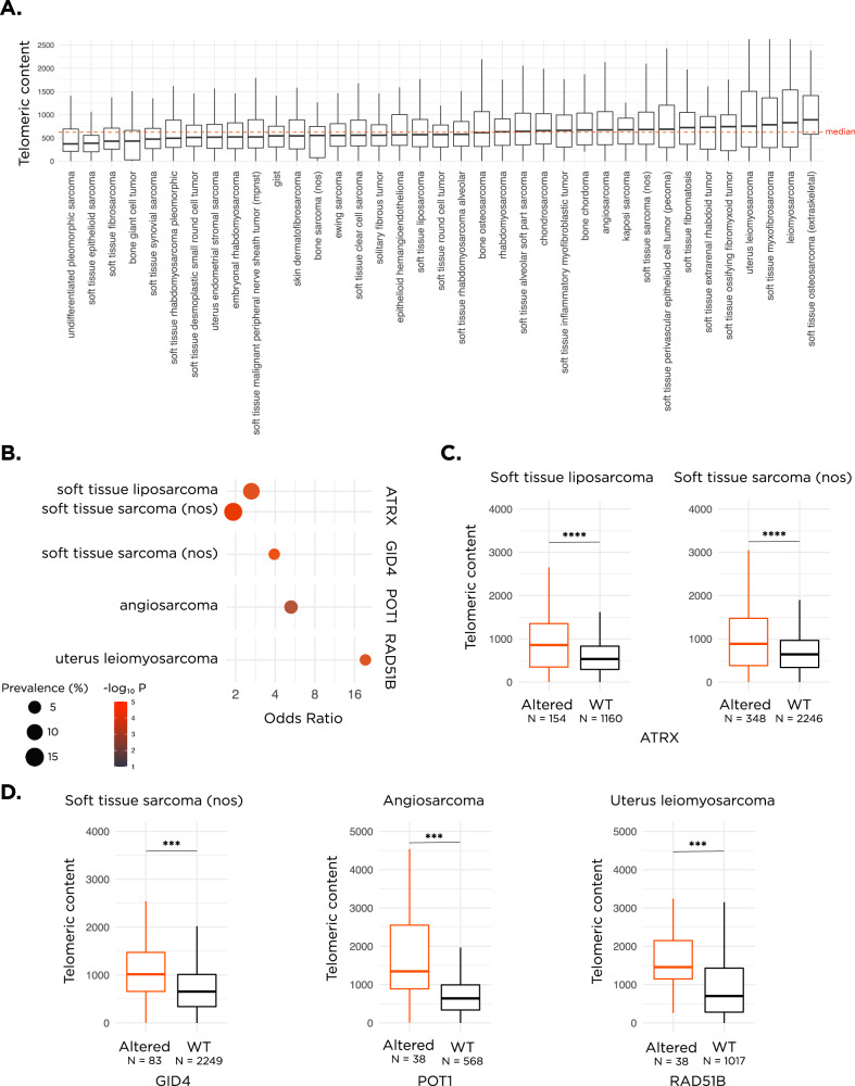 A pan-sarcoma landscape of telomeric content shows that alterations in RAD51B and GID4 are associated with higher telomeric content.