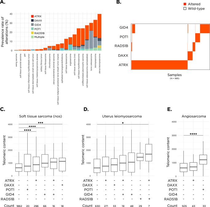 A pan-sarcoma landscape of telomeric content shows that alterations in RAD51B and GID4 are associated with higher telomeric content.