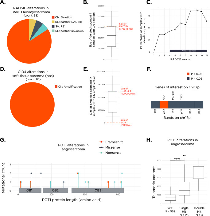 A pan-sarcoma landscape of telomeric content shows that alterations in RAD51B and GID4 are associated with higher telomeric content.