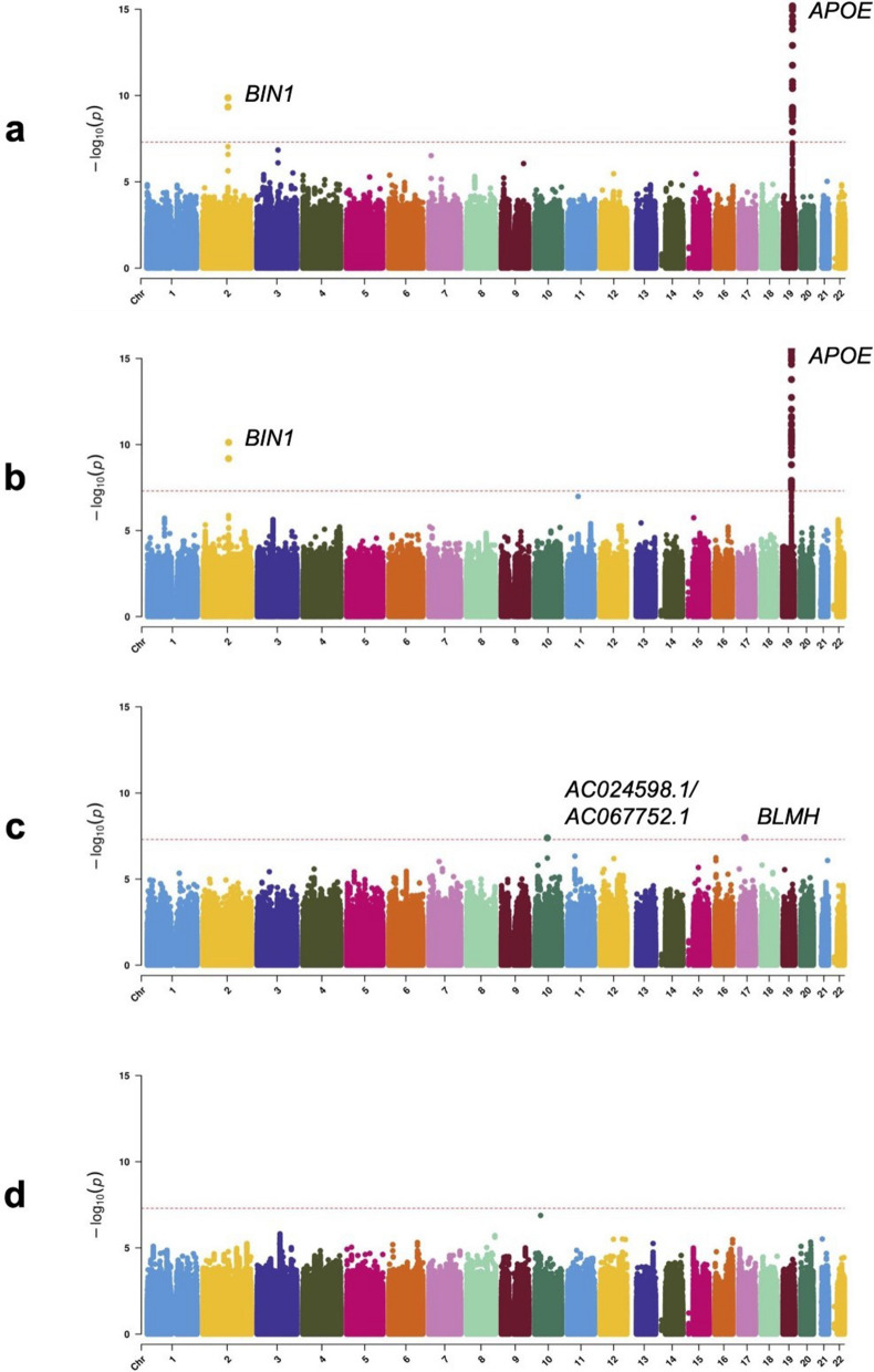 APOE-ε4 and BIN1 increase risk of Alzheimer's disease pathology but not specifically of Lewy body pathology.