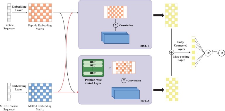 DeepMHCI: an anchor position-aware deep interaction model for accurate MHC-I peptide binding affinity prediction.