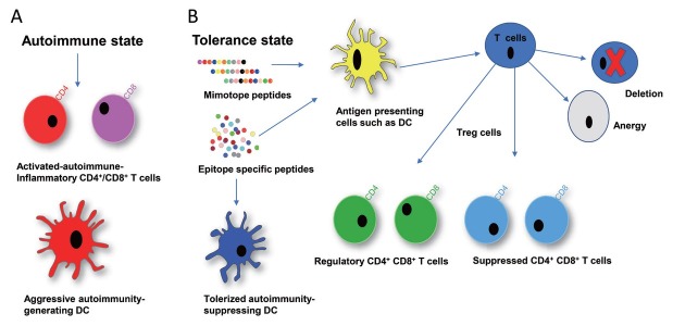 Peptide-based immunotherapy in lupus: Where are we now?