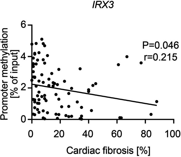 Low levels of circulating methylated IRX3 are related to worse outcome after transcatheter aortic valve implantation in patients with severe aortic stenosis.