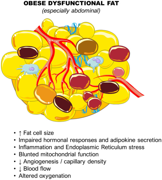 Obesity and Peripheral Artery Disease: Current Evidence and Controversies.