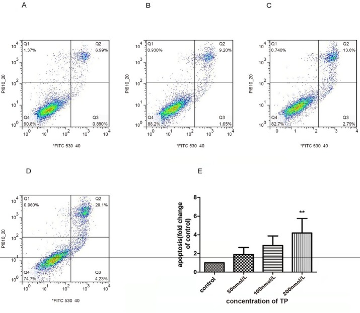 Protective role of autophagy in triptolide-induced apoptosis of TM3 Leydig cells.