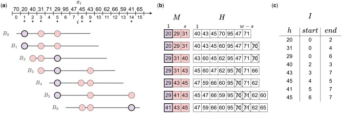 Minmers are a generalization of minimizers that enable unbiased local Jaccard estimation.