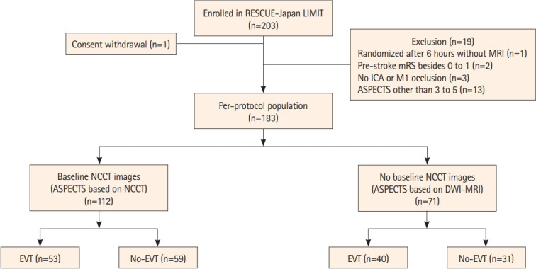 Mode of Imaging Study and Endovascular Therapy for a Large Ischemic Core: Insights From the RESCUE-Japan LIMIT.