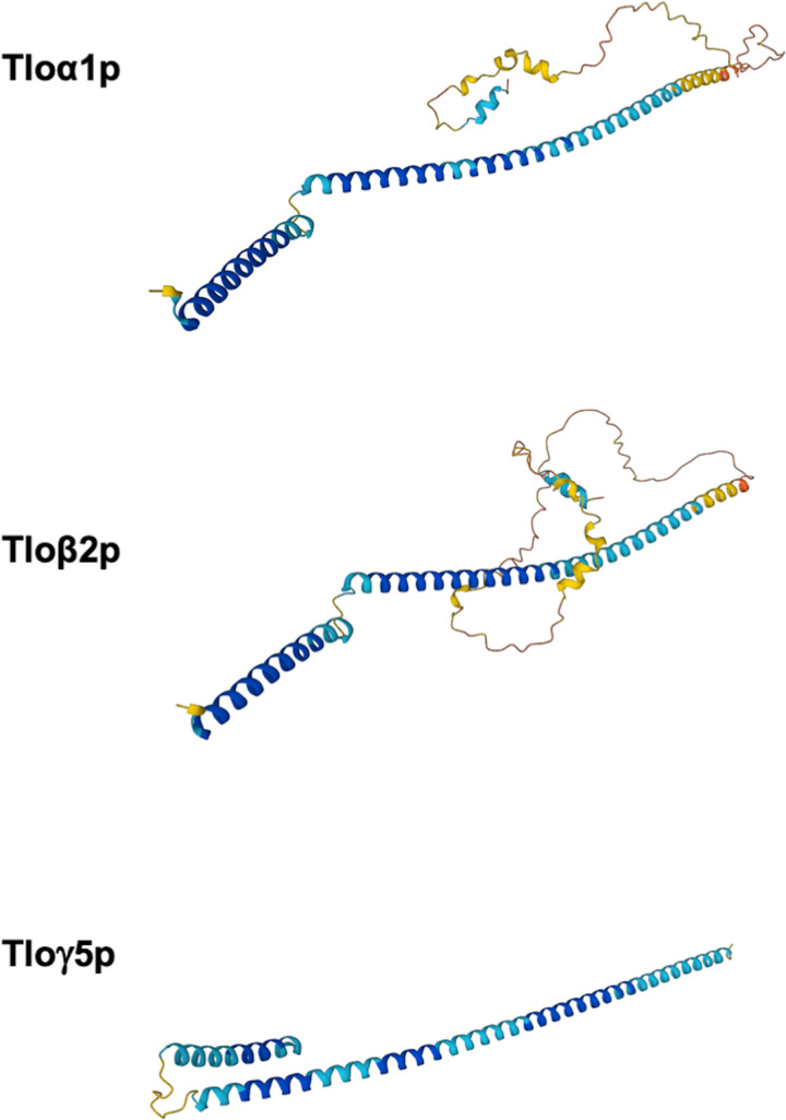 The role of the Mediator complex in fungal pathogenesis and response to antifungal agents.