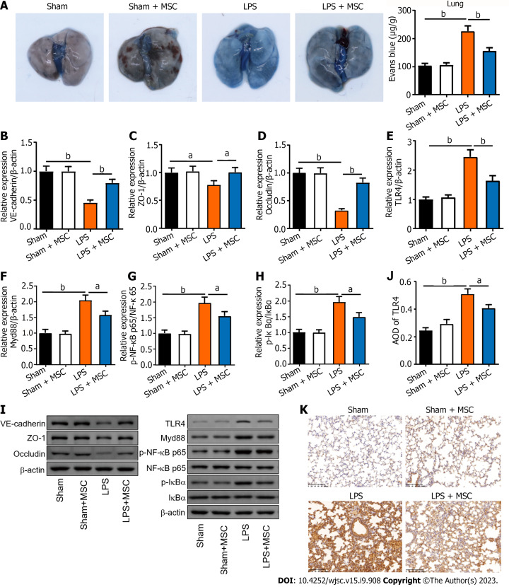 Multiomics reveal human umbilical cord mesenchymal stem cells improving acute lung injury <i>via</i> the lung-gut axis.