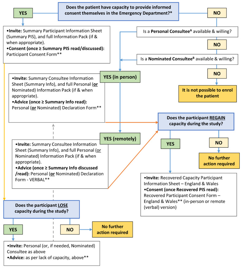 The Randomised Evaluation of early topical Lidocaine patches In Elderly patients admitted to hospital with rib Fractures (RELIEF): feasibility trial protocol.