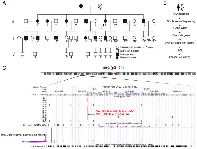 Genetic diagnosis of a rare COL7A1 variant causing dystrophic epidermolysis bullosa pruriginosa through whole‑exome sequencing.