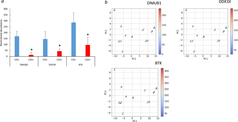 Proteome analysis of CD5-positive diffuse large B cell lymphoma FFPE tissue reveals downregulation of DDX3X, DNAJB1, and B cell receptor signaling pathway proteins including BTK and Immunoglobulins.