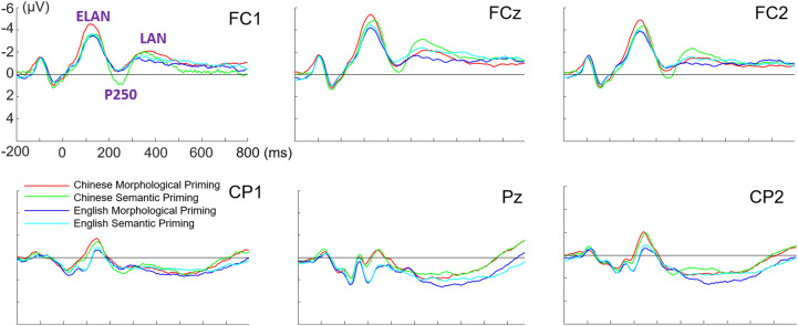 Shared and distinct neural correlates of first and second language morphological processing in bilingual brain.