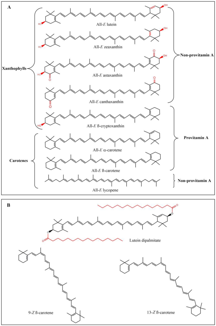 Carotenoid enrichment in eggs: From biochemistry perspective